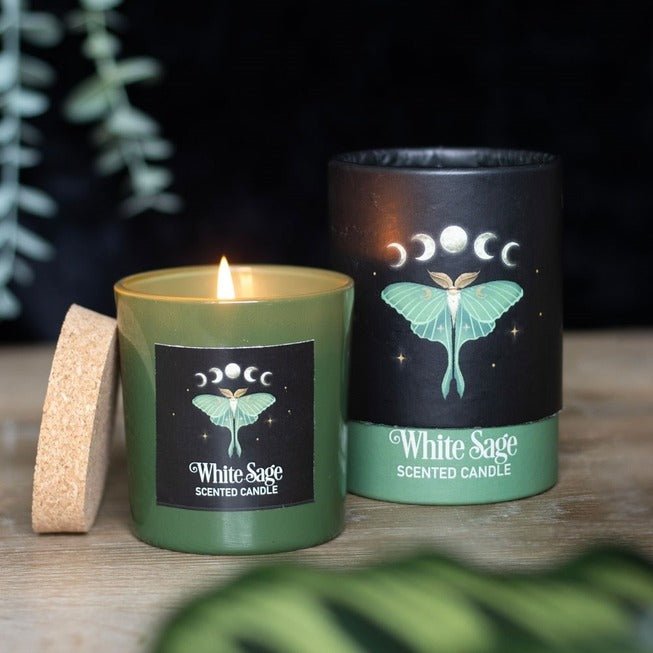Dark Forest Luna Moth White Sage Candle